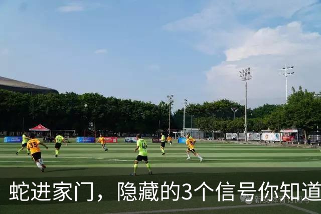 蛇进家门，隐藏的3个信号你知道吗？